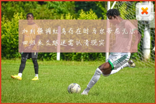 加利强调红鸟存在时马尔蒂尼无法回归米兰球迷需认清现实