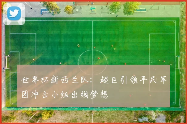 世界杯新西兰队：超巨引领平民军团冲击小组出线梦想