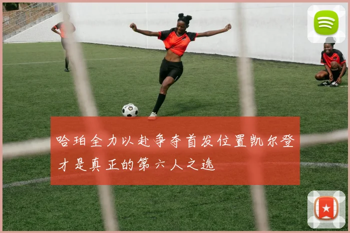 哈珀全力以赴争夺首发位置凯尔登才是真正的第六人之选