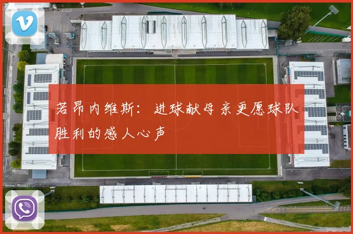 若昂内维斯：进球献母亲更愿球队胜利的感人心声